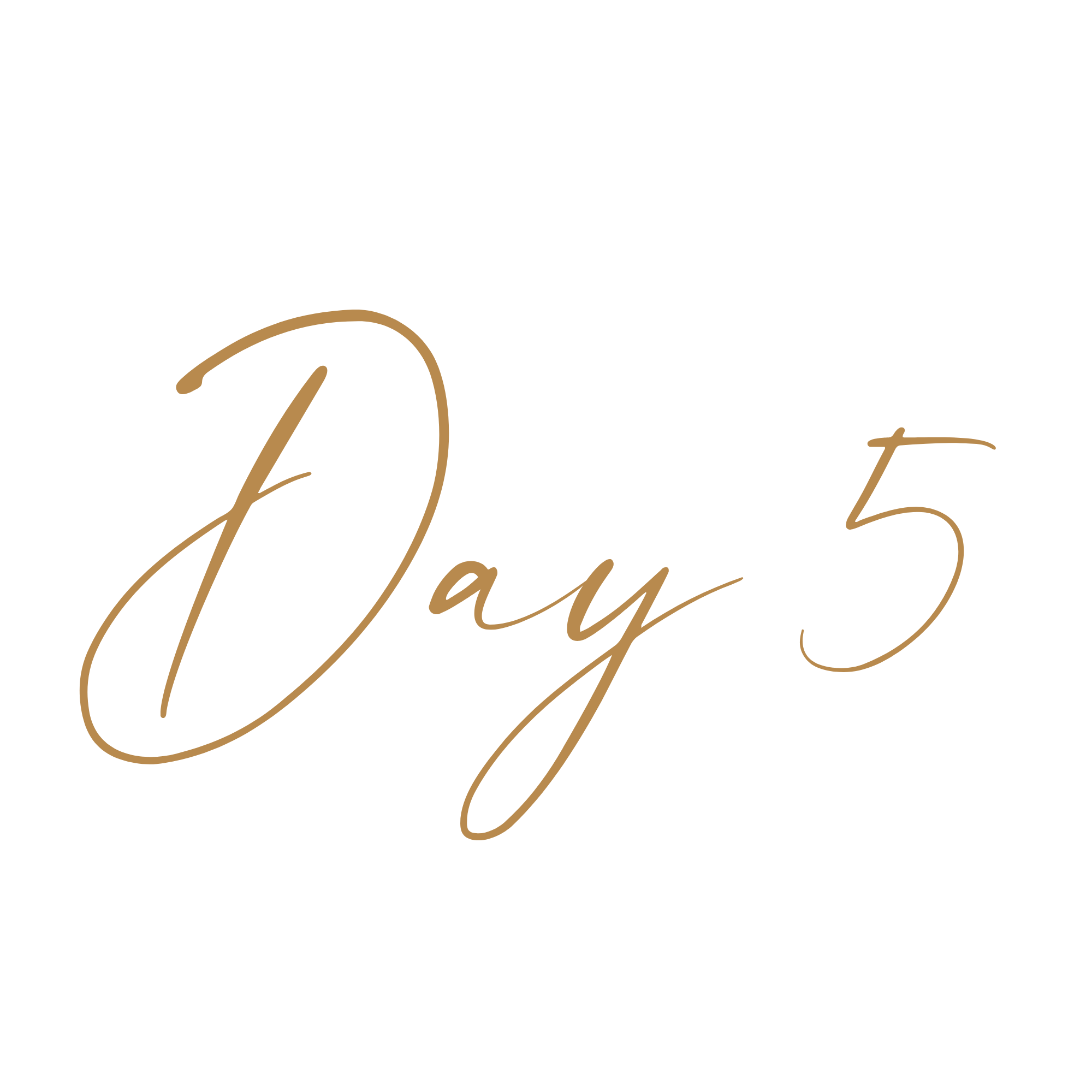 Day 4 (1)